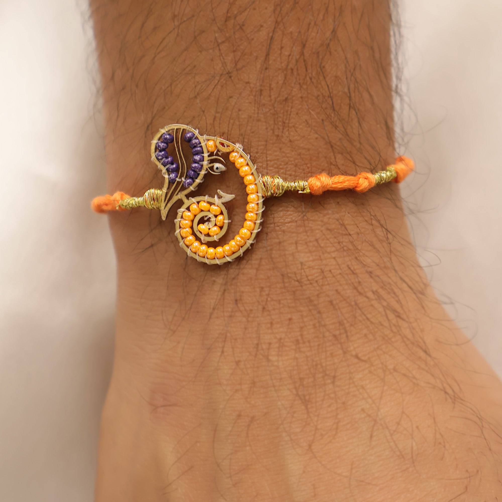 Ganesha’s Grace