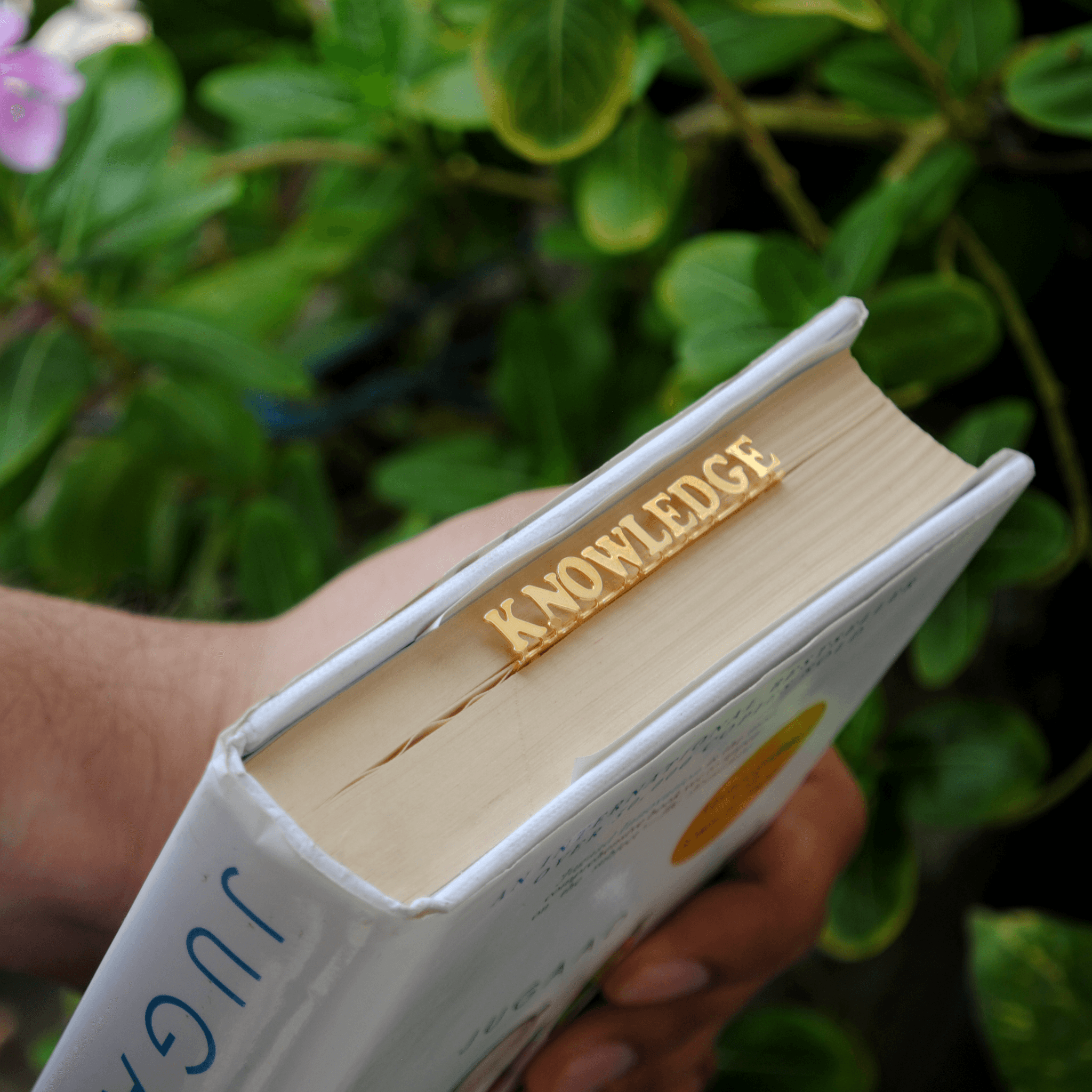 Knowledge Bookmark - BeAbhika.com