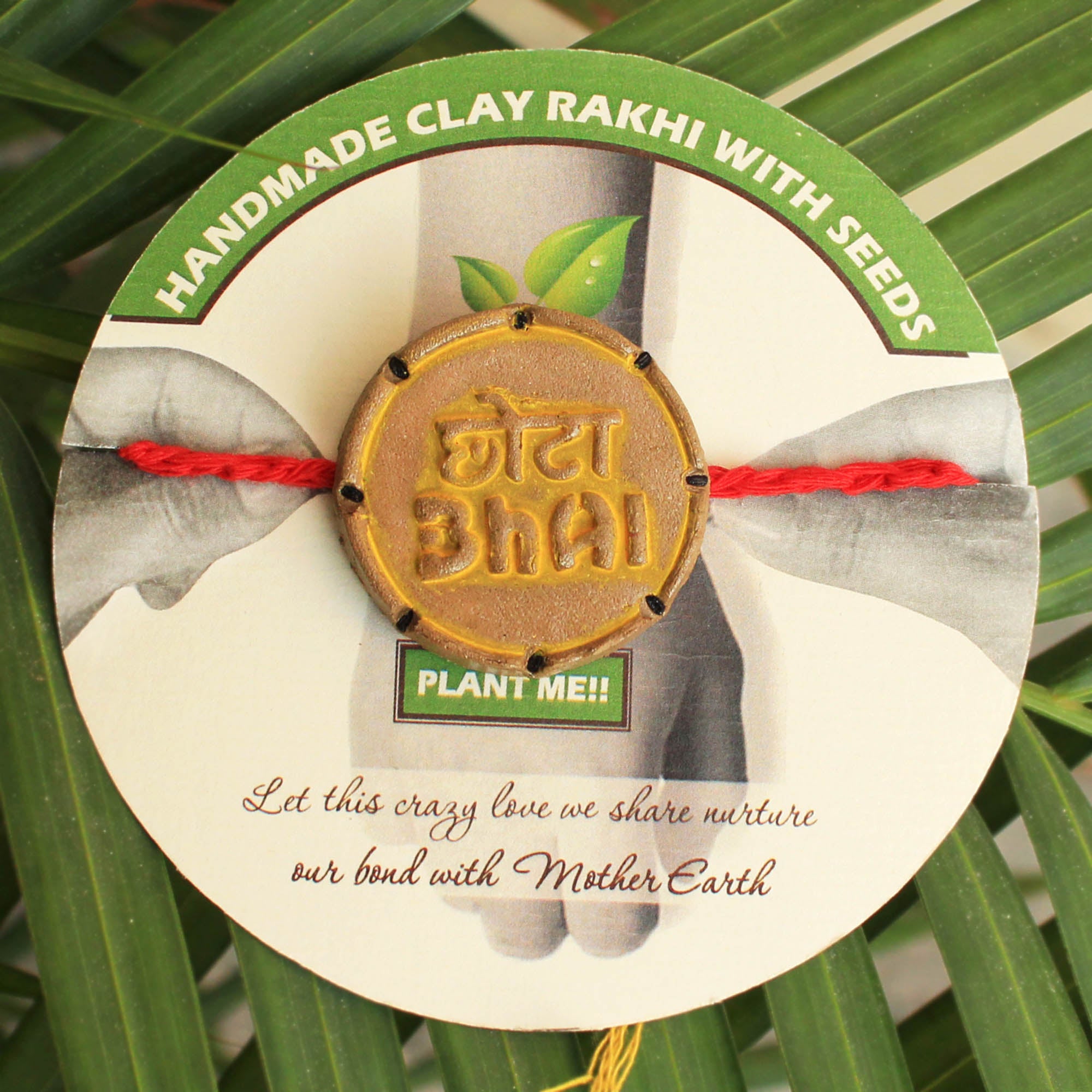Chota Bhai Grow Green Clay Rakhi