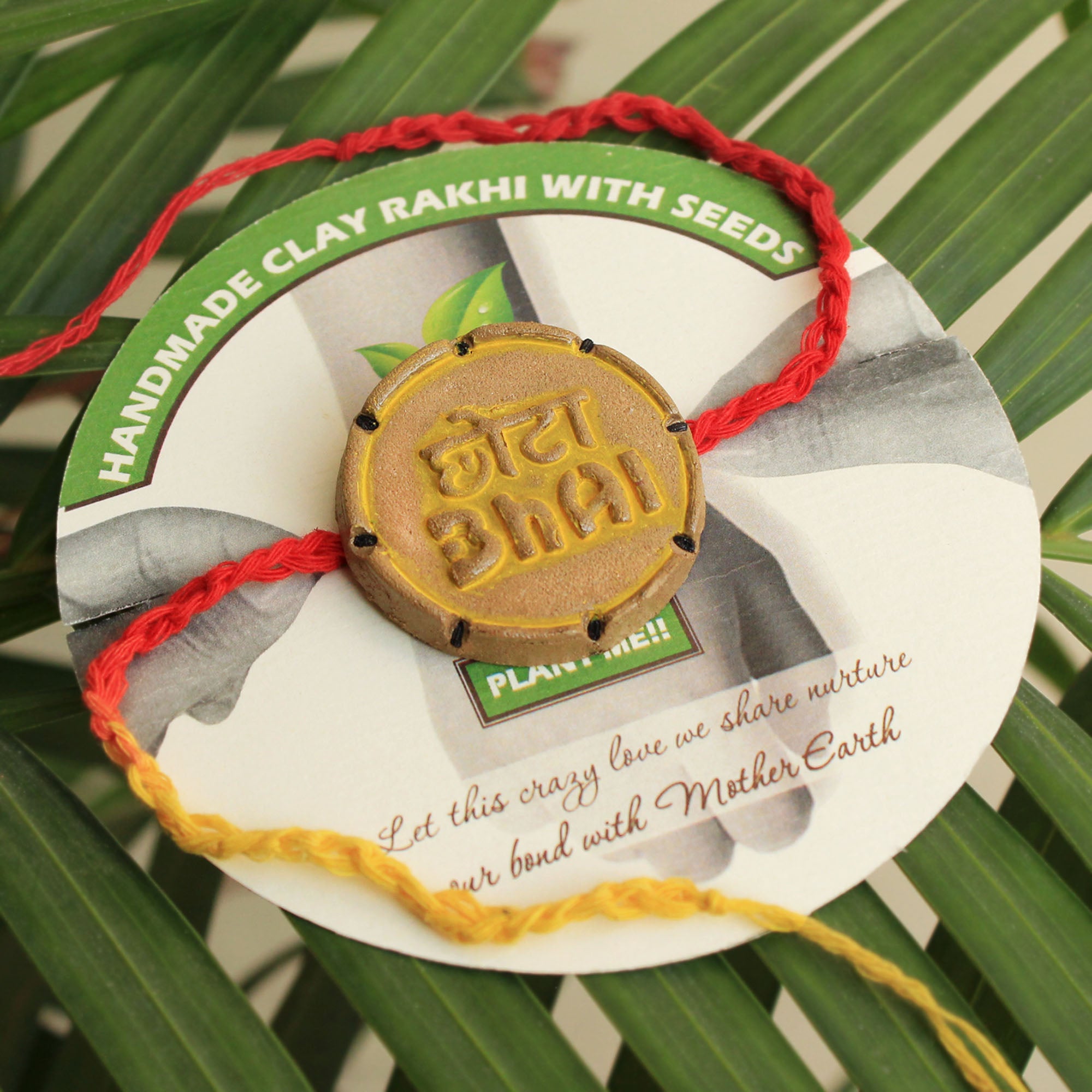 Chota Bhai Grow Green Clay Rakhi