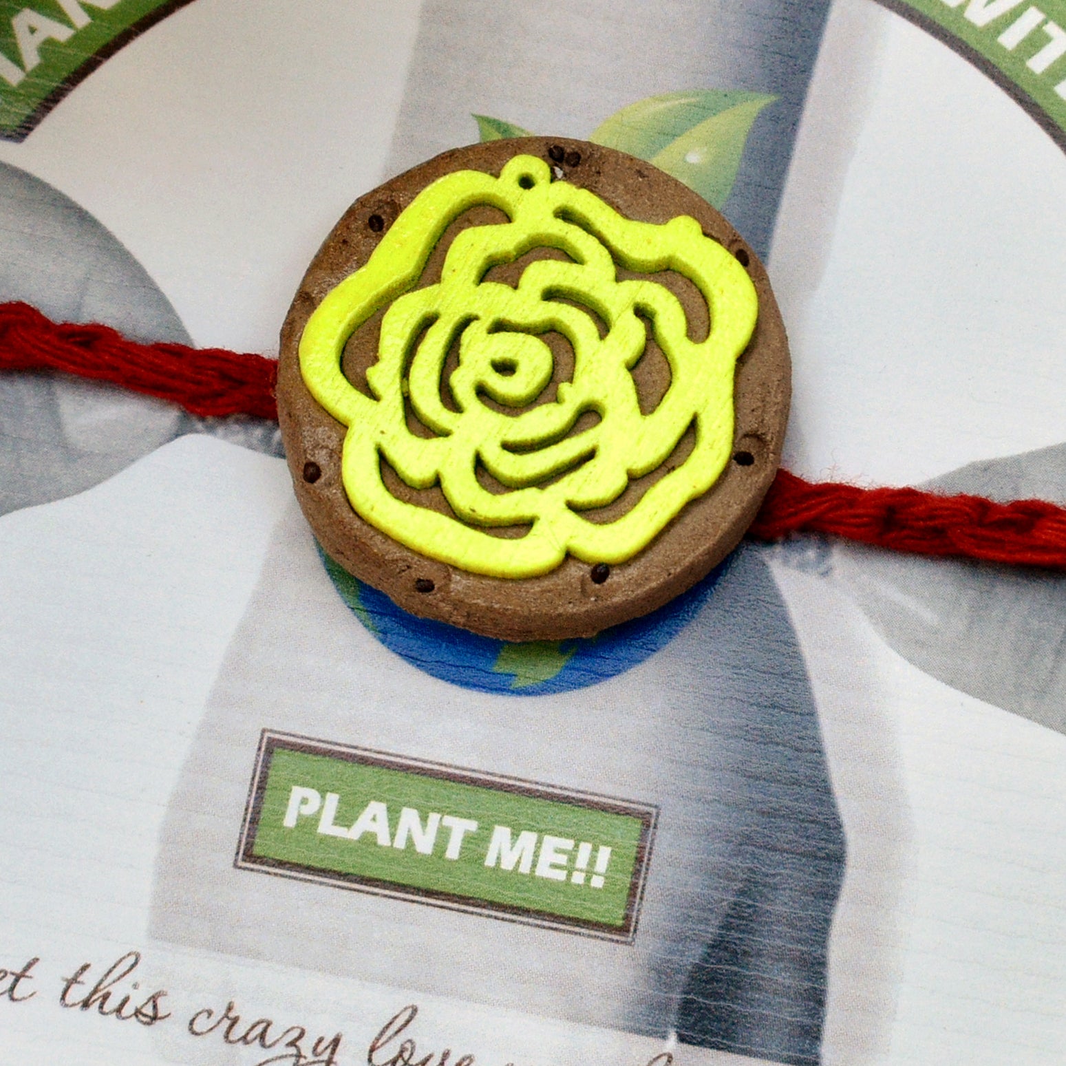Colorful Rose Kids Grow Green Clay Rakhi